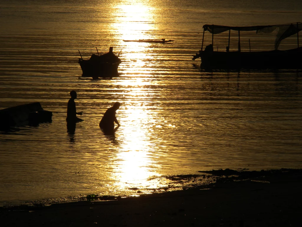 Fishing in the morning