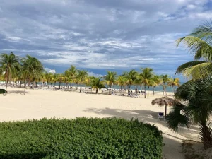 Trip to Grand Bahama Island