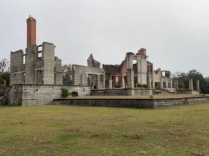 Lunch With the Horses