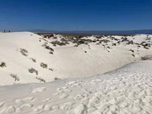 White Sand Dunes Everywhere